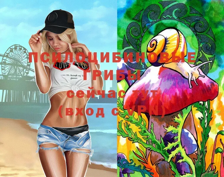 Галлюциногенные грибы Magic Shrooms  Анадырь 